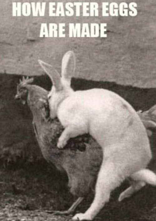 southerngent67 - This is too funny. Happy Easter everyoneLOL