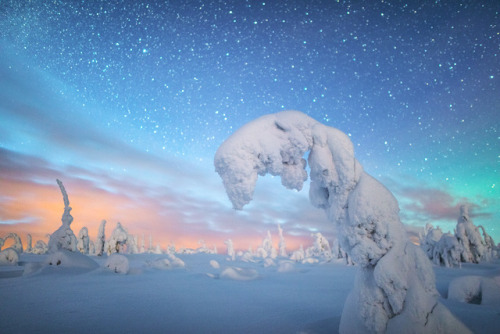 Winter magic. Lapland, Finland.by Tiina Törmänen | web | FB | IG...