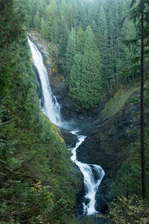 90377 - Wallace Falls by Andrea Moore