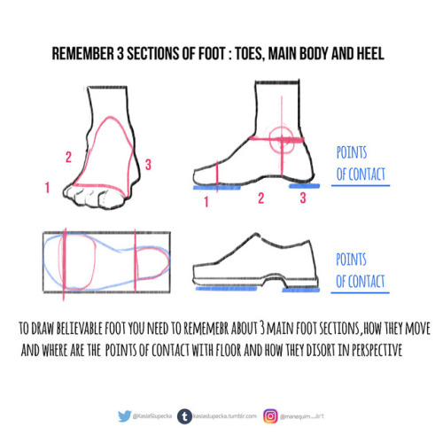 kasiaslupecka:Weekly anatomy tip!This week I tackle feet. I...