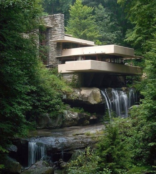 finearchitecture - The FallingWater House by Frank Lloyd Wright...