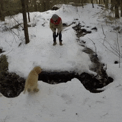 cuteness–overload - Giant leap for pup-kindSource - ...
