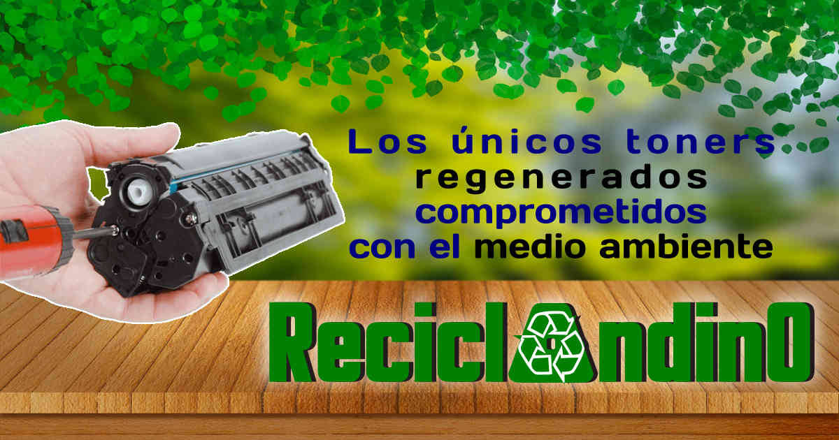 ReciclAndino: Fotos