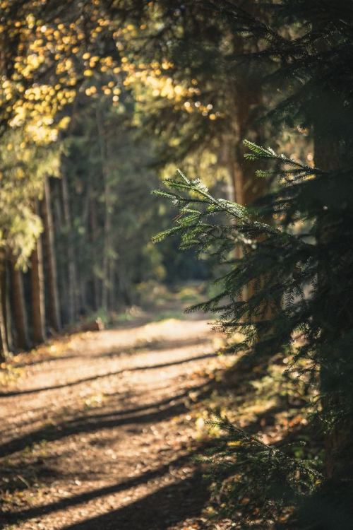 expressions-of-nature:by Dominik Kempf
