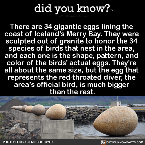 geopsum - evaporites - did-you-kno - There are 34 gigantic eggs...