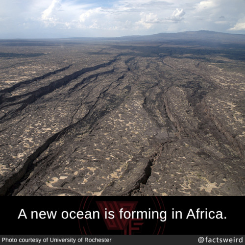 mindblowingfactz - A new ocean is forming in Africa. 
