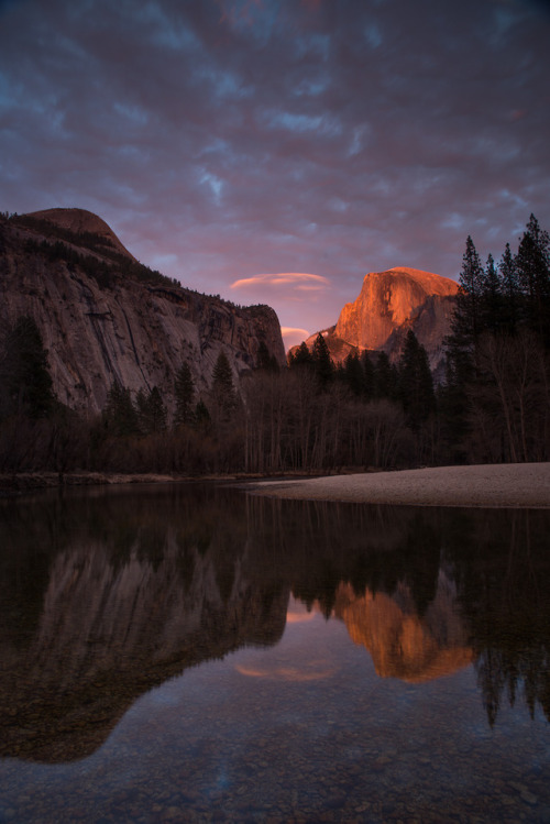 90377 - Half Dome Sunset by Andrea Moore