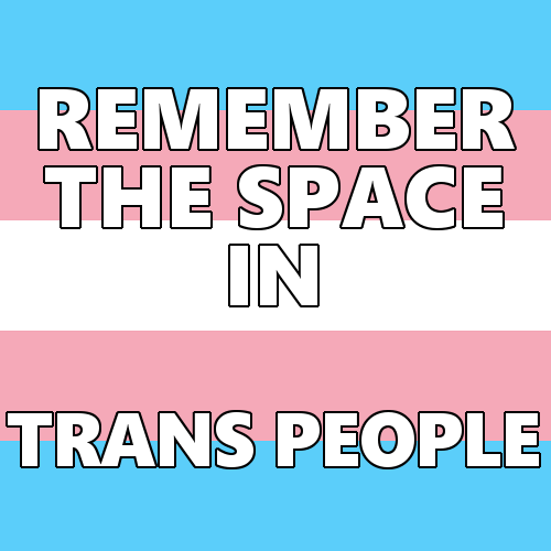queerlection:[Image description - Images of the trans pride...