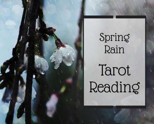 resonance-of-libra - Rainy days in the spring carry a special magic - fresh, cleansing &amp;...