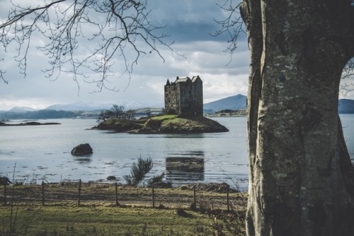 bokehm0n:Castle Stalker - Scotland