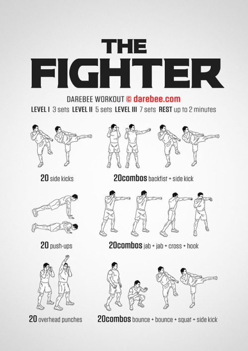 Darbee Combat Workouts 