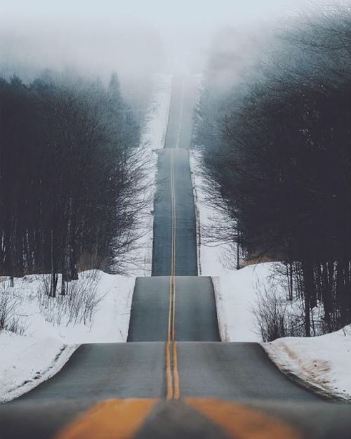 tentree - Riding the wavy roads through the forests of Beacon...