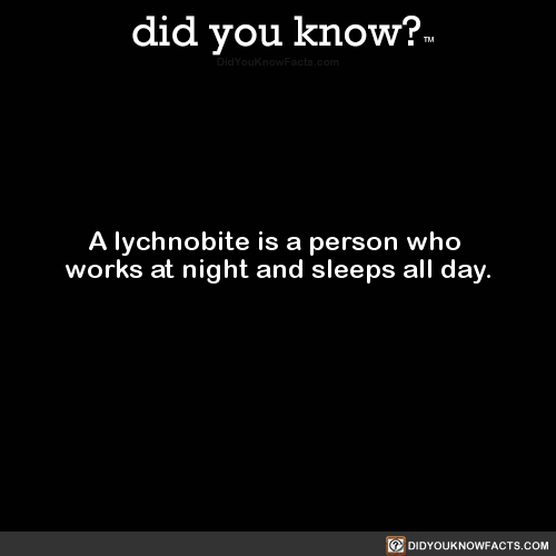 a-lychnobite-is-a-person-who-works-at-night-and