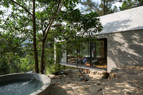 utwo:Forest House Vietnam© Le Hoang