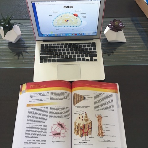 journeyintomedicine:Delving into some biology revision for my...