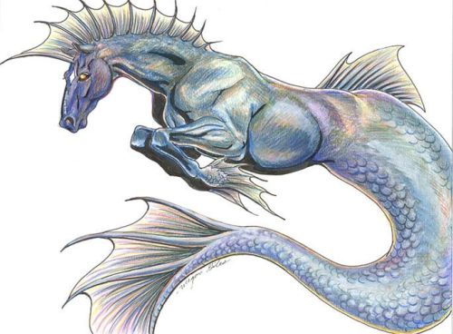 lpbestiary:The hippocampus is a sea-horse from Greek mythology....