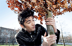 zaynsharold - Zayn & Harry → One Way Or Another Music Video...