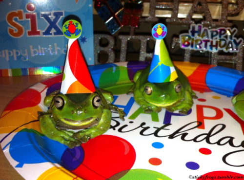 stickyfrogs - Happy 6th Birthday Stickyfrogs!
