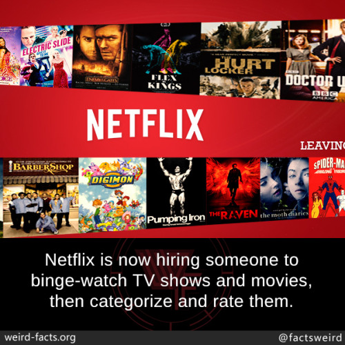 mindblowingfactz - Netflix is now hiring someone to binge-watch...