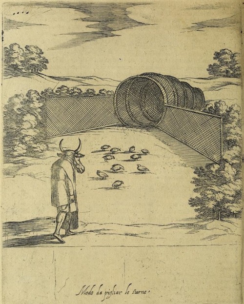 smithsonianlibraries - Illustration of a 17th century bird...
