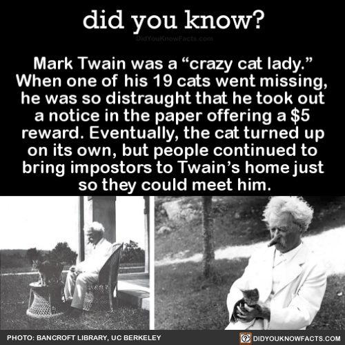mark-twain-was-a-crazy-cat-lady-when-one-of-his