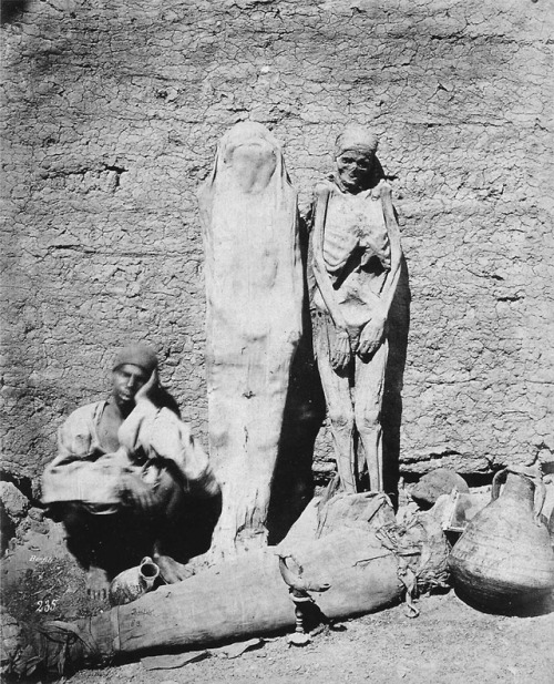 historicaltimes - A street vendor selling mummies in Egypt, 1865...