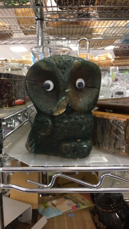 shiftythrifting - some seriously weird stuff in North Jersey....