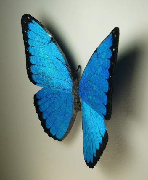 sosuperawesome - Moth and Butterfly Fibre Sculptures, by Yumi...