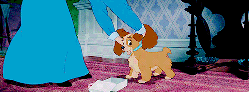 disneyfeverdaily - Lady and The Tramp (1955) dir. Clyde...