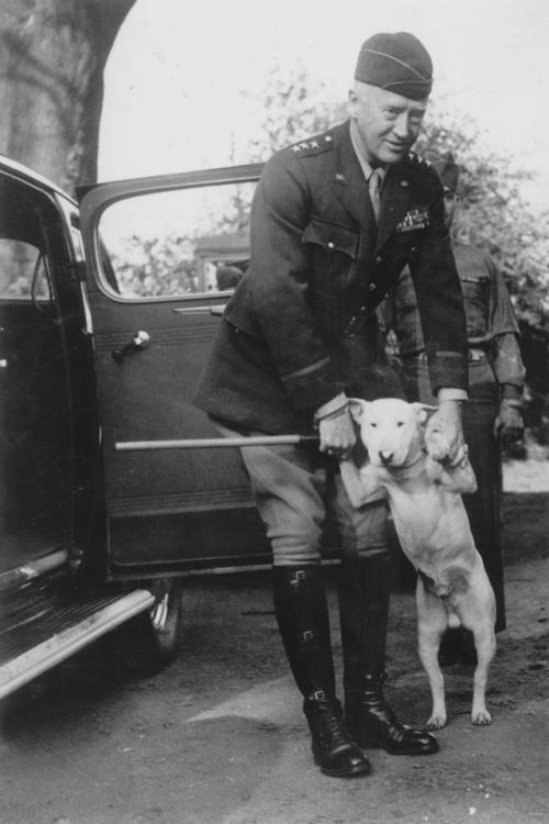 greasegunburgers - American General George S Patton with his bull...