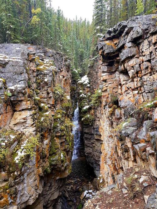 thebeautifuloutdoors - Troll Falls, Alberta, Canada [3024x4032]...