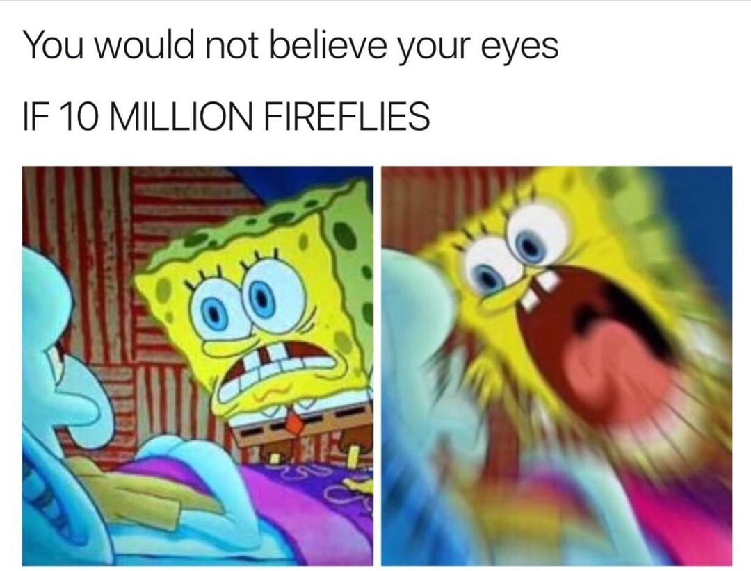 You Would Not Believe Your Eyes If Ten Million Fireflies Tumblr