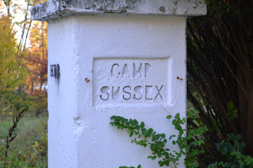 ruinationstation - Camp Sussex - Sussex, NJ