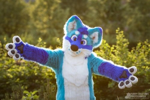 fursuitpursuits - RT @WMW66Costumes - Let me introduce Max!this...