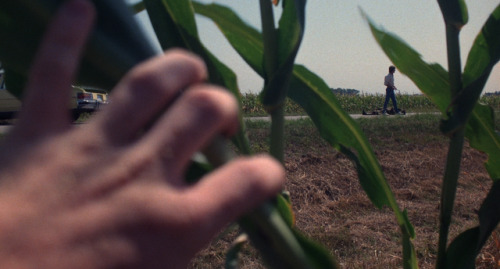 luciofulci - Children of the Corn (1984)dir. Fritz Kiersch (x)