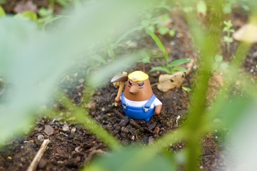 mayormadisson - RARE photos of peaceful Resetti waiting for you to...
