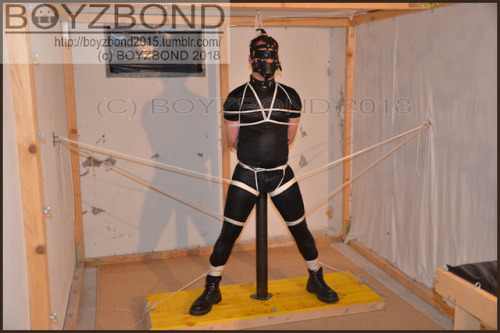 boyzbond2015 - Tape gagged and muzzled, then …Plug and play ?...