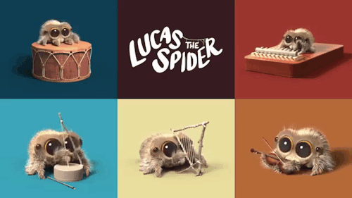 laughingsquid - Lucas the Spider Shows Off His Musical Skills by...