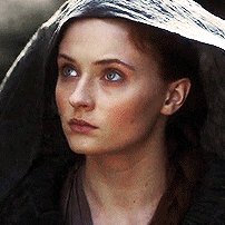 ladyofdragonstone - Sansa had gotten their mother’s fine high...
