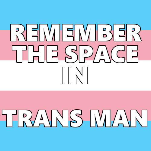 queerlection:[Image description - Images of the trans pride...
