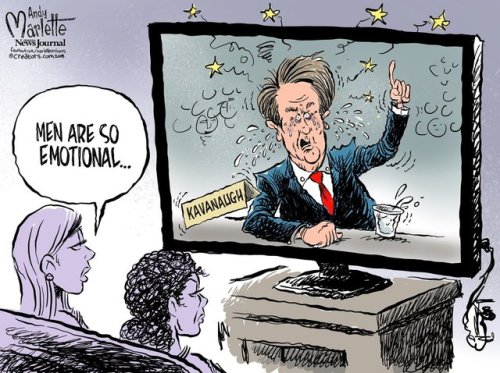 cartoonpolitics - (cartoon by Andy Marlette)