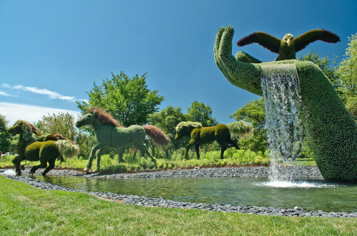 Some gorgeous sculptures located at the Montreal Botanical...
