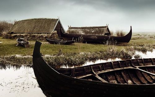 Viking Blog