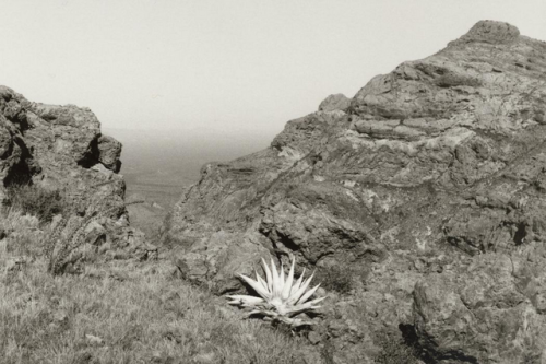 apeninacoquinete - Bernard Plossu Mount Ajo, AZ, 1980