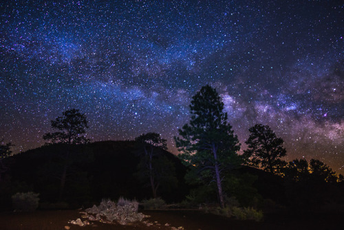 traverse-our-universe - Coconino National Forest on Flickr (1,...