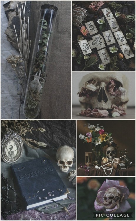 witchyaesx - Floral Skeletal Witch Aesthetic 