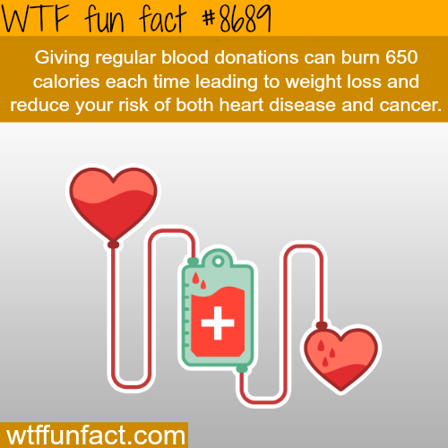 wtf-fun-factss - The benefit of donating blood - WTF fun facts