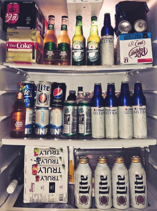 wolkzz - How a fridge should look in the summer
