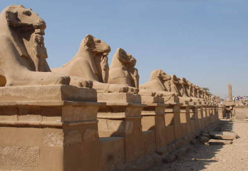 grandegyptianmuseum:Stone ram-headed sphinx sculptures, Grand...