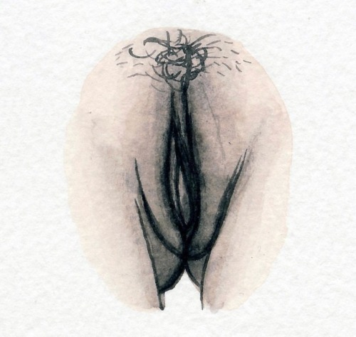 the420housewife - What variation is your vagina’s vulva, labia,...